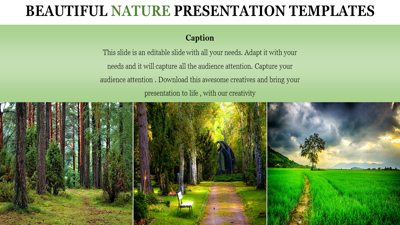 ppt presentation nature life